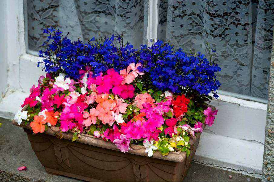 Montreal floral workshop