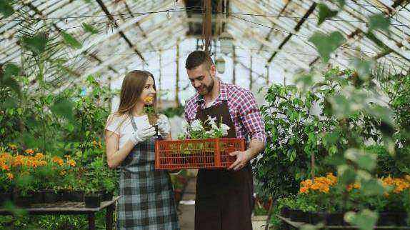 Online floral workshop
